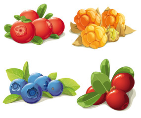 set of mature berries