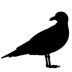 M&ouml;we Silhouette Vektor