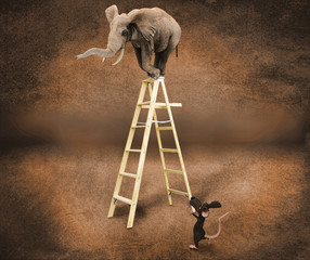 Elefante en una escalera y un ratón © Giovanni Cancemi