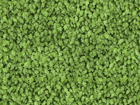 Seamless green leaves tiled texture pattern