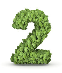 Number 2 from green leaves