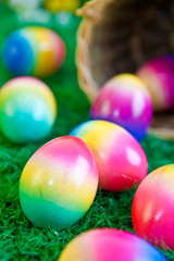 Colorful easter eggs on green