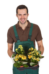 Happy young gardener holding flowers