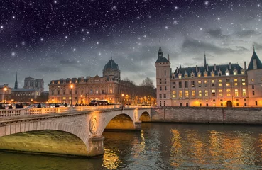 Photo sur Plexiglas Pont Alexandre III Beautiful colors of Napoleon Bridge at night with Seine river -