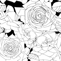 Vector background with black and white roses