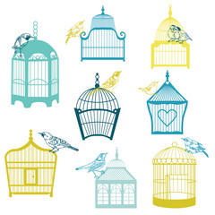 Collection d& 39 oiseaux et de cages à oiseaux - pour la conception ou la ferraille - vecteur