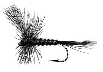 Tied Dry Fly