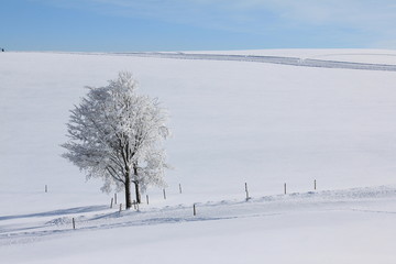 Winterlandschaft im Schwarzwald