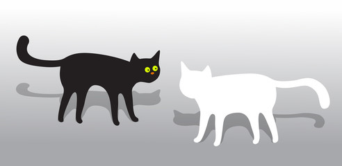 Black and white cats