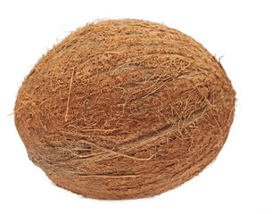coconut isolated on white