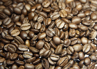 Kaffeebohnen