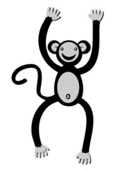 Funny monkey