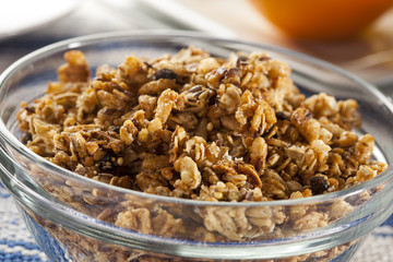 Organic Granola Cereal