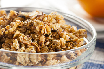 Organic Granola Cereal