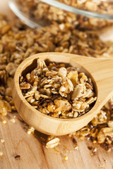 Organic Granola Cereal