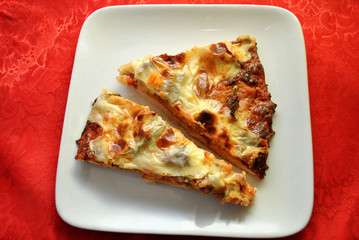 Two Slices of Homade Pizza