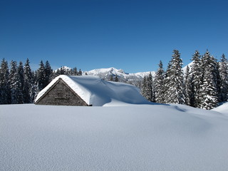 Hut in the snow, snow covered trees