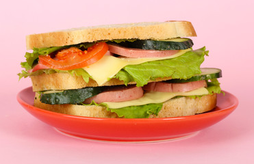 Sandwich on plate on pink background