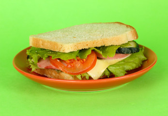 Sandwich on plate on green background