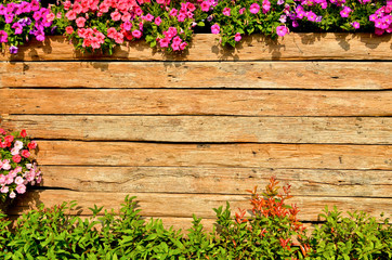wooden fence background with red and pink flower