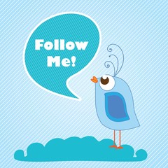 follow me and follow us