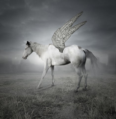Pegaso