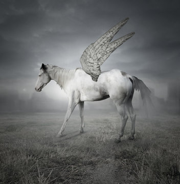 Pegaso