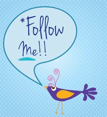 follow me and follow us