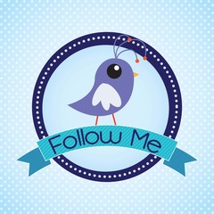 follow me and follow us