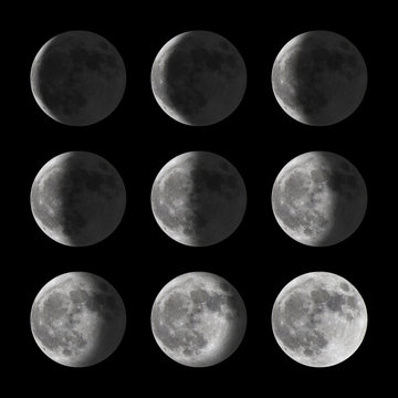 Set of moon phases for new, half, and full