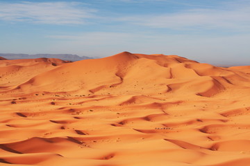 Fototapeta na wymiar Caravan w pustyni