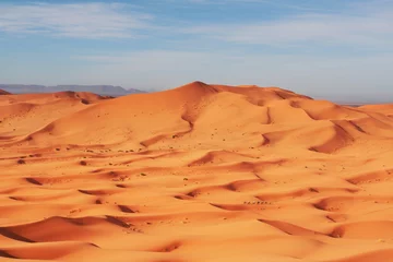 Photo sur Plexiglas Sécheresse Caravan in desert