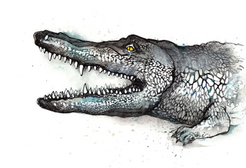 alligator