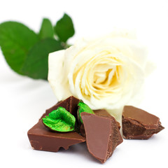 Pieces of chocolate bar with white rose