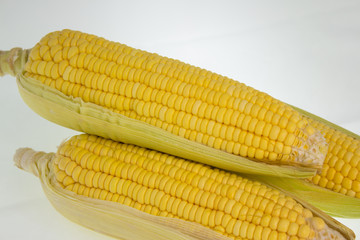 yellow corn