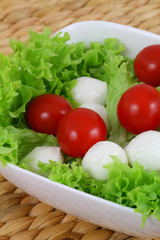 Salad with mozzarella, cherry tomatoes and lettuce