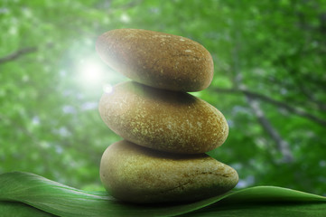 Stacked stones on base of green leafs