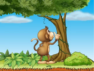 Cercles muraux Zoo Un singe observant un arbre