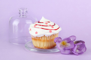 Cupcake on saucer with glass cover, on color background