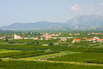 Agricultural area in Neretva river delta in Croatia