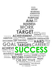 “SUCCESS” Tag Cloud (job offers future education business)