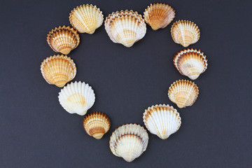 Heart made of shells on black background