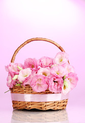 Fototapeta na wymiar bukiet kwiatów w koszyku eustoma, na różowym tle
