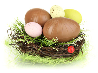Composition of Easter and chocolate eggs in nest isolated