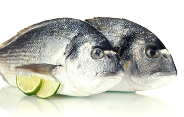 Two fish dorado with lemon isolated on white