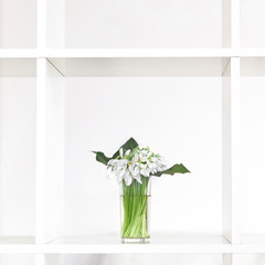 Snowdrops