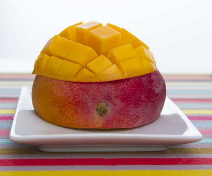 mangue