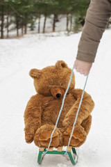 Man pulled sledges with Toy Bear