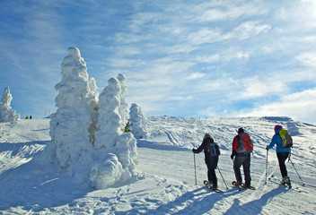 Winter am Grossen Arber im Bayerischen Wald