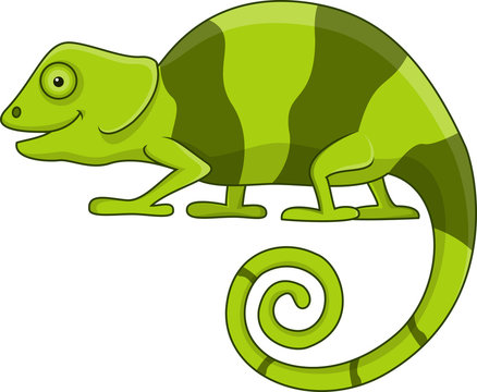 Funny chameleon cartoon